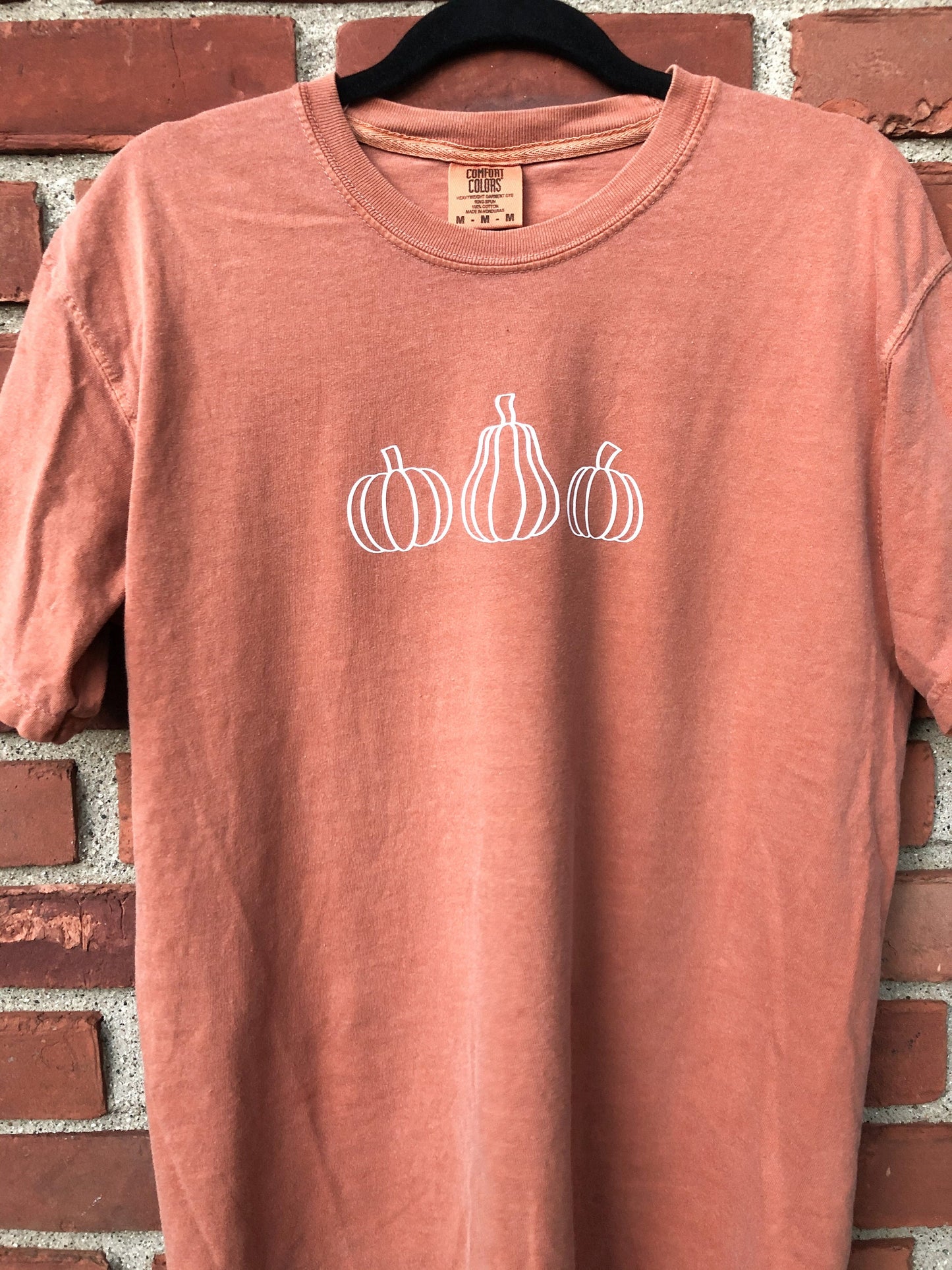 Pumpkin Embroidered T-Shirt