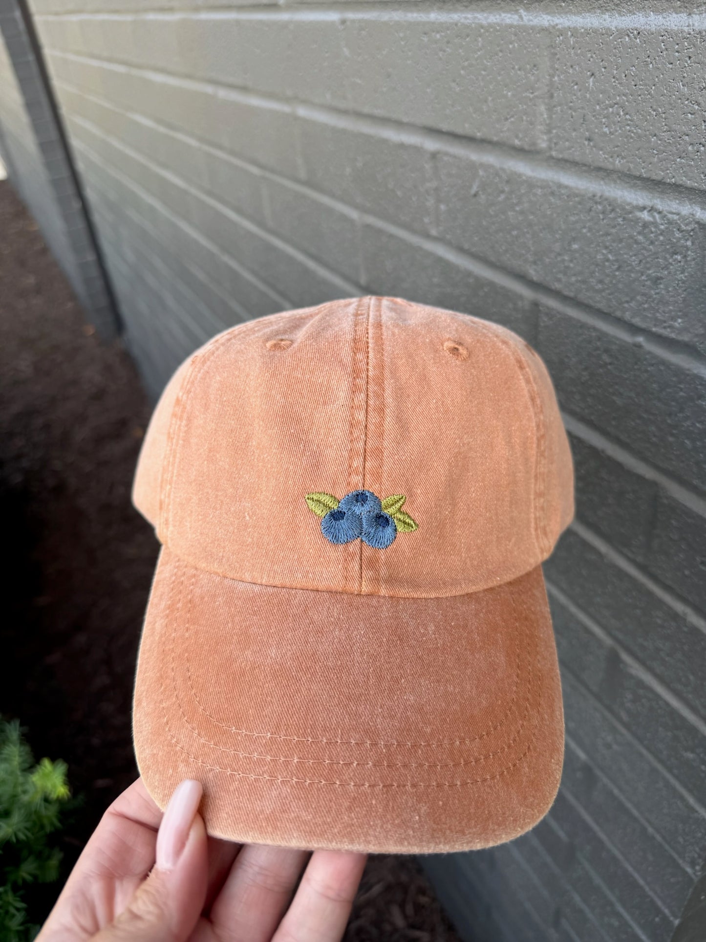 Blueberry Embroidered Hat