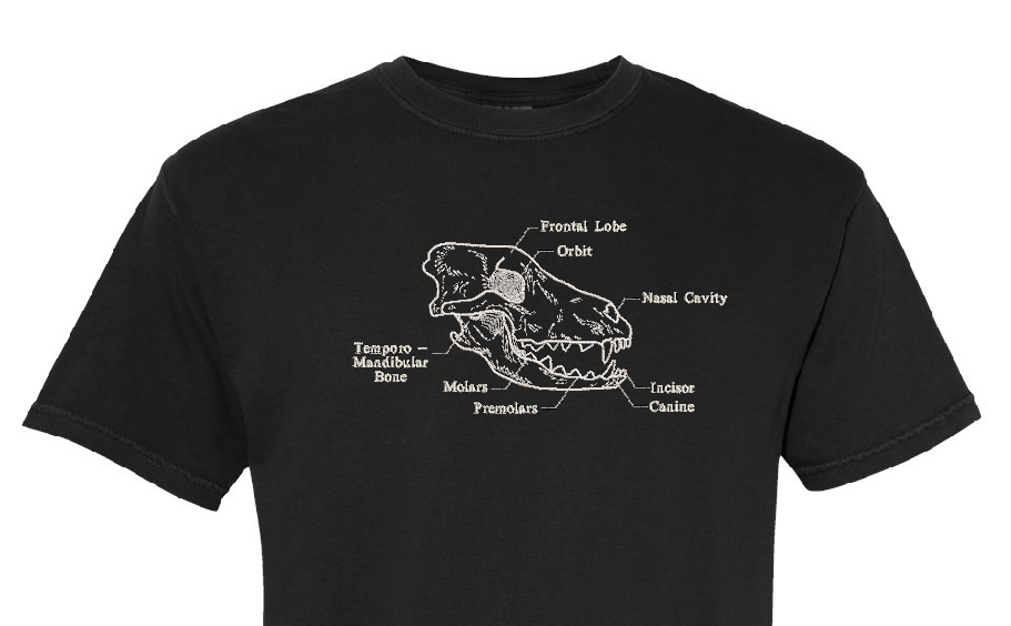 MSU Veterinary Medicine Dental Dog Skull T-Shirt