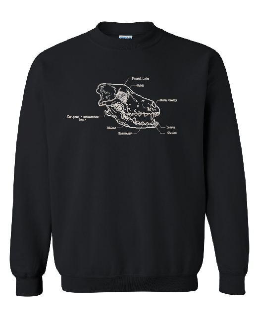 MSU Veterinary Medicine Dental Dog Skull Sweatshirt