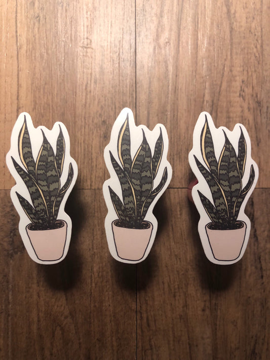 Snake Plant House Plant Sticker