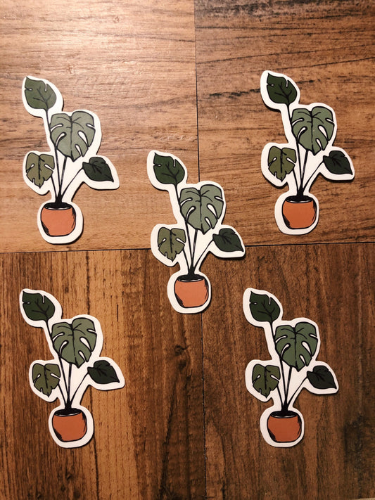 Monstera Houseplant Sticker