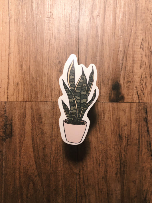 Snake Plant House Plant Sticker