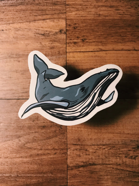 Whale Sticker