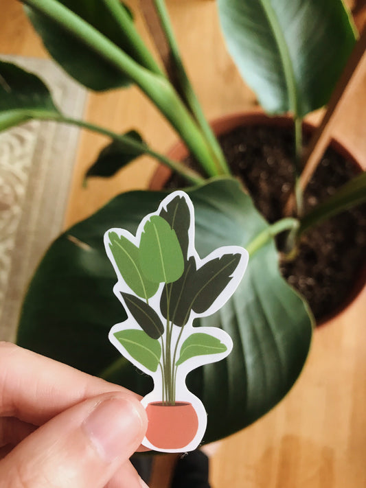 Birds of Paradise Sticker